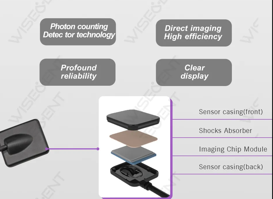 I PLUS SENSOR - Image 2